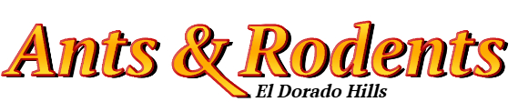 El Dorado Hills Ant Exterminator & Rodent Control Company Logo